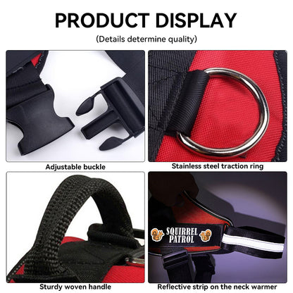 SQUIRREL  - Personalized French Bulldog Harness