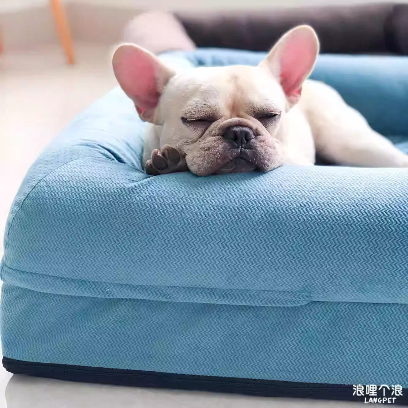 Dozora-French-Bulldog-Sofa-Bed.jpg