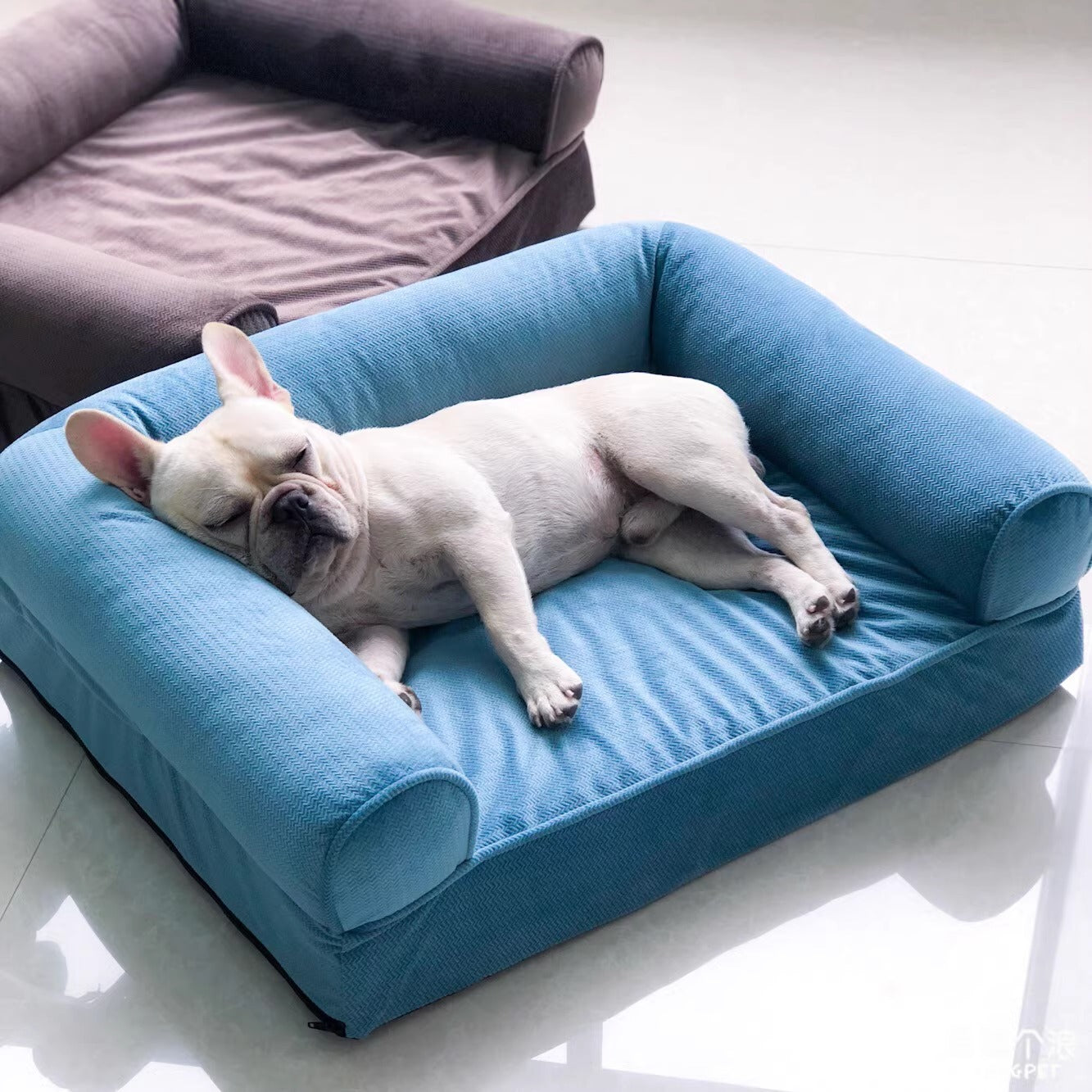 Dozora-French-Bulldog-Sofa-Bed.jpg