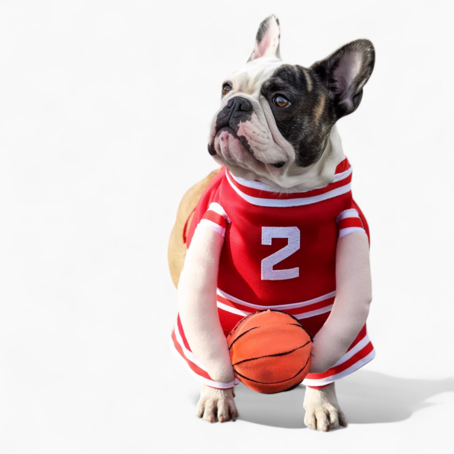 DunkRuff-Frenchie-Basketball-Costume.jpg