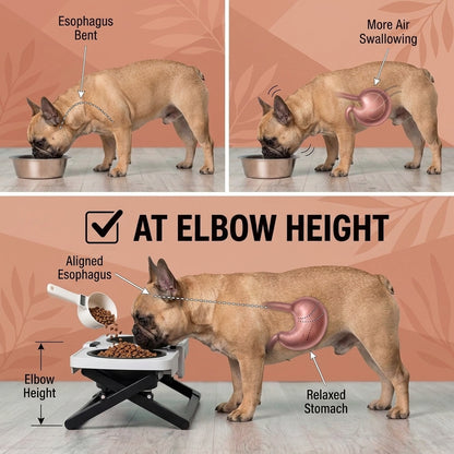 Flexbowl-French-Bulldog-Bowl-Silicone-Adjustable-Folding-Table-Food-Dispenser.jpg