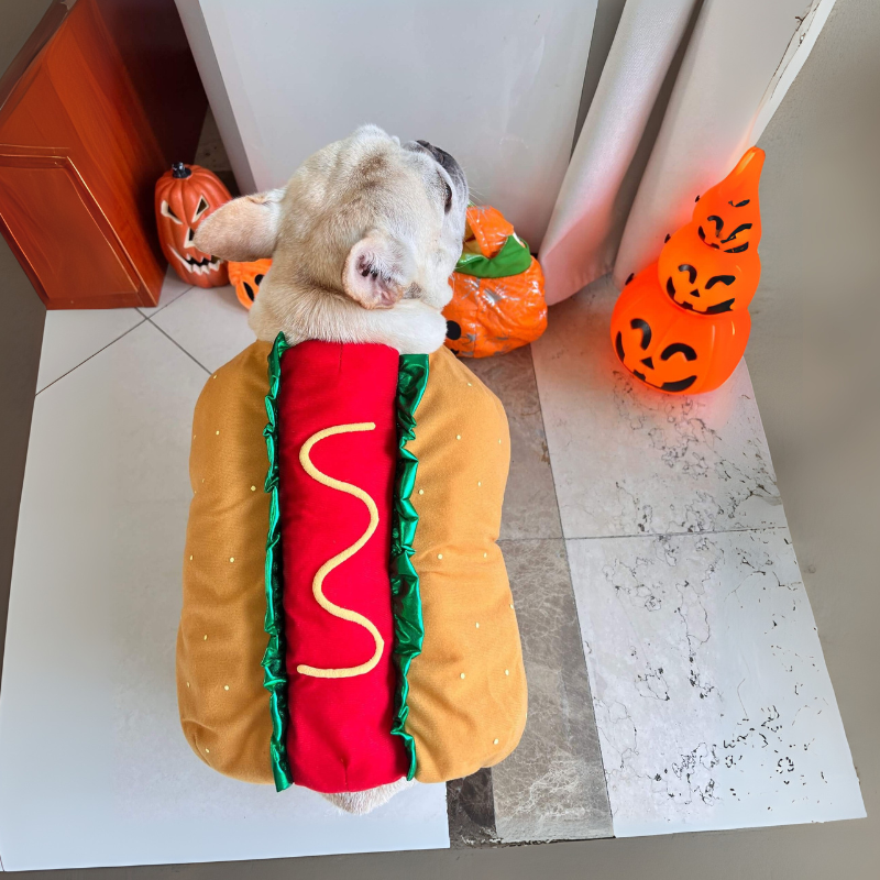 FrankRuff-Frenchie-Hotdog-Costume.jpg