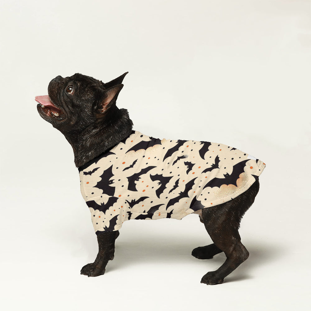 Frank French bulldog Wool Sweater