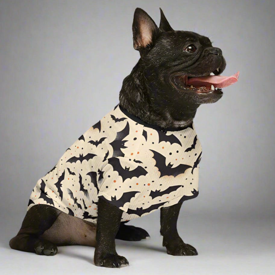 Frank French bulldogs Wool Sweater