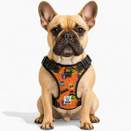 Frank No-Pull Dog Harness