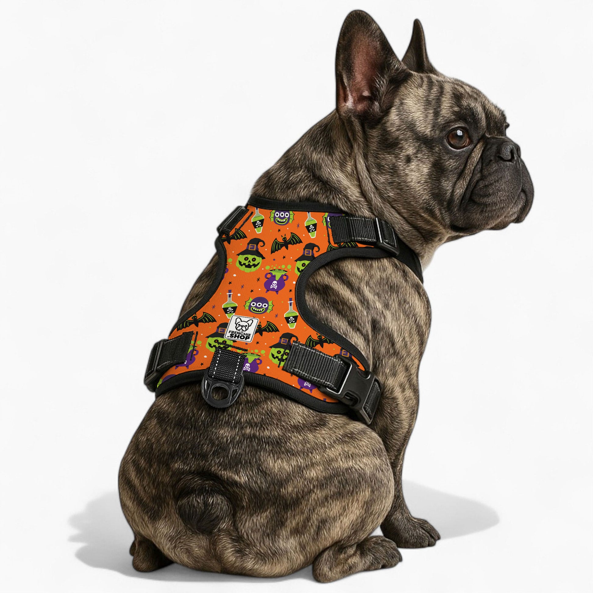 Frank No-Pull French Bulldog Dog Harness