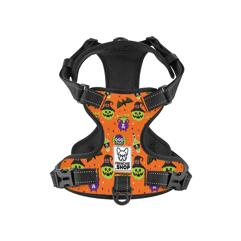 Frank No-Pull Frenchie dog Harness