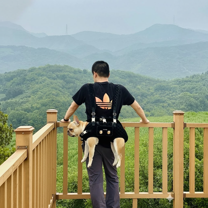 FrenBag-Frenchie-Backpack-Carrier.jpg