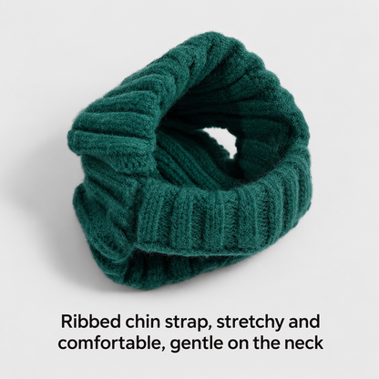 FrenBeanie-French-Bulldog-Winter-Knit-Hat.jpg