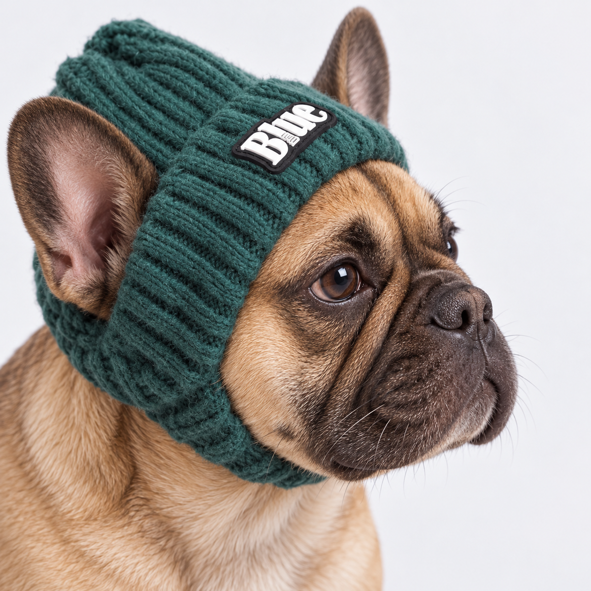 FrenBeanie-French-Bulldog-Winter-Knit-Hat.jpg