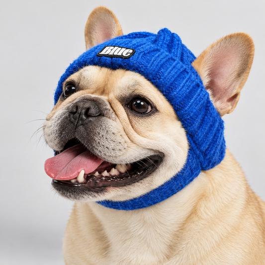 FrenBeanie-French-Bulldog-Winter-Knit-Hat.jpg