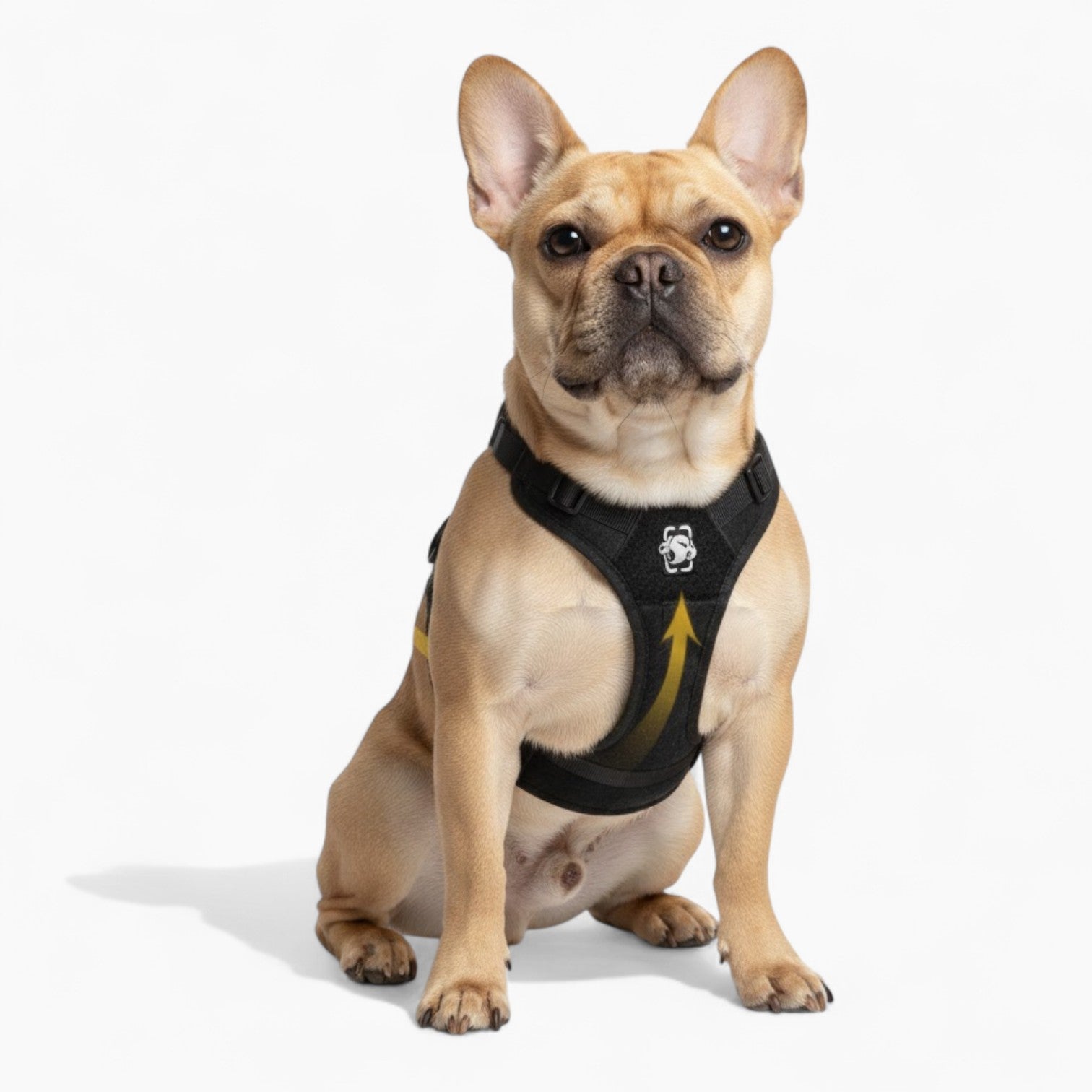 FrenLift™-Frenchie-Support-Harness.jpg