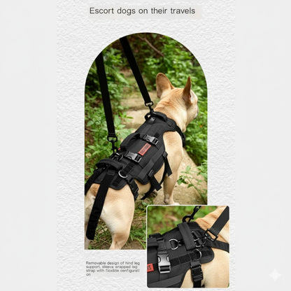 FrenLift™-Frenchie-Support-Harness.jpg