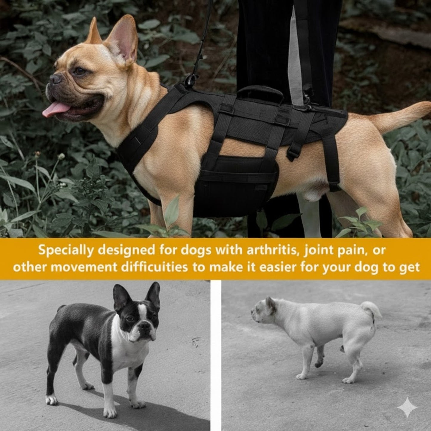 FrenLift™-Frenchie-Support-Harness.jpg