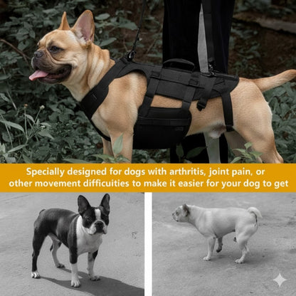 FrenLift™-Frenchie-Support-Harness.jpg