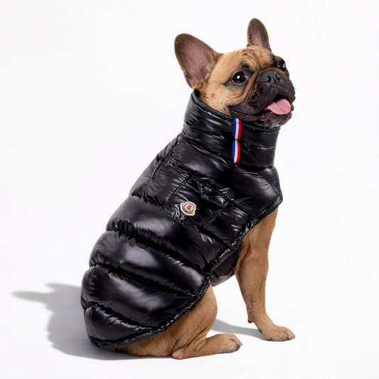 FrenPaw-Frenchie-Winter-Puffer-Jacket.jpg