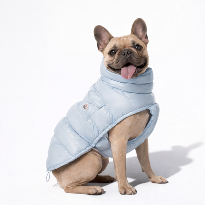 FrenPaw-Frenchie-Winter-Puffer-Jacket.jpg