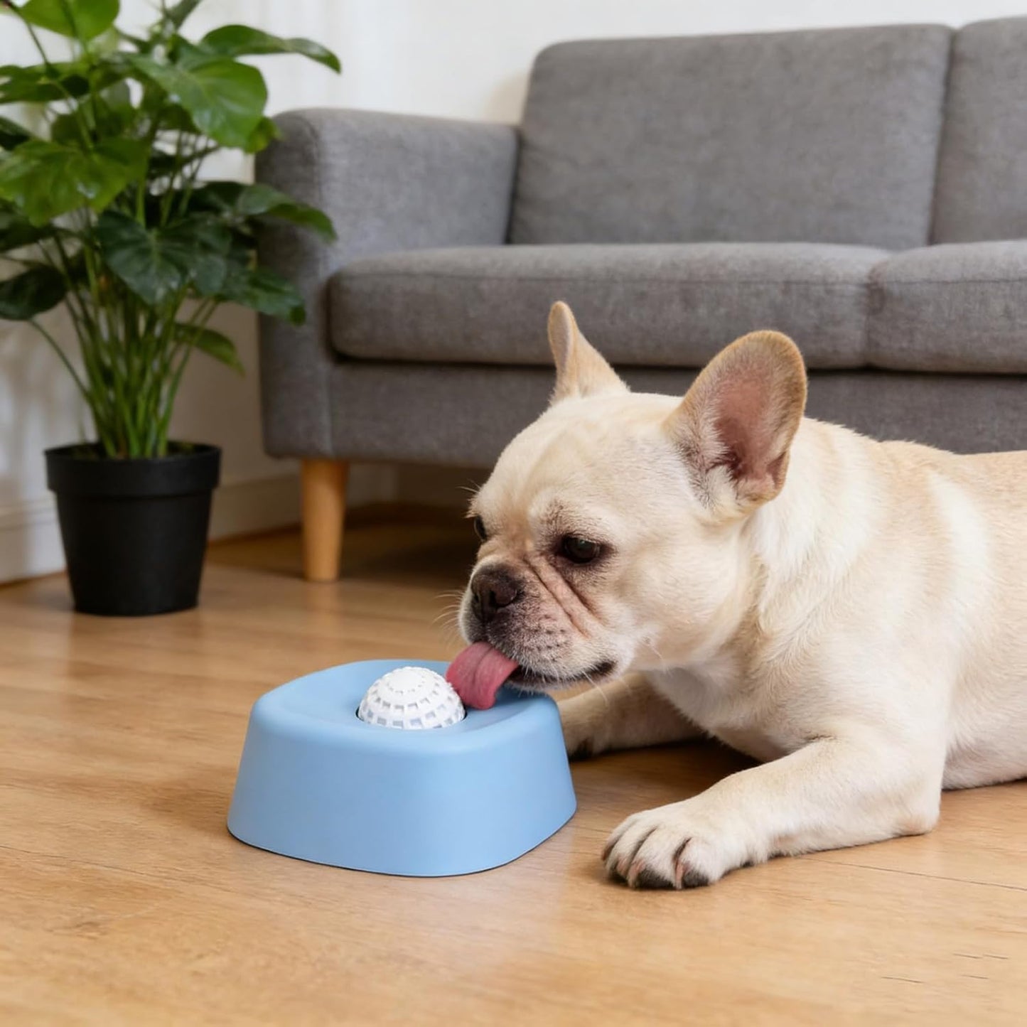 FrenSip-Frenchie-Anti-Gulping-Liquid-Bowl.jpg