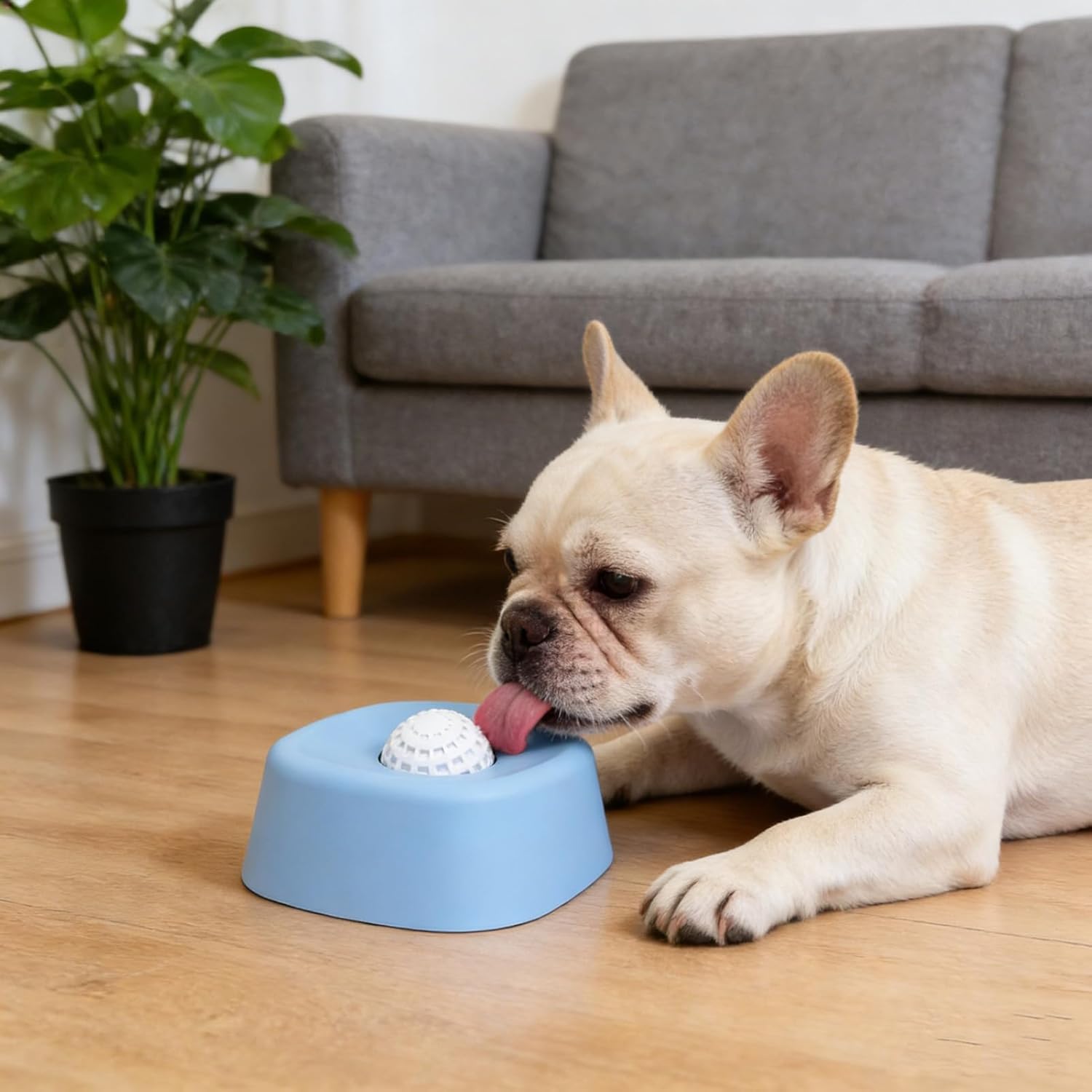 FrenSip-Frenchie-Anti-Gulping-Liquid-Bowl.jpg