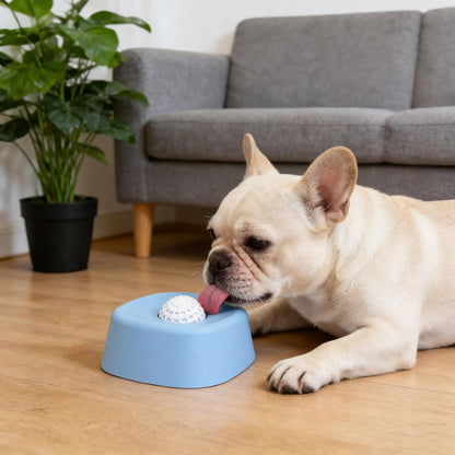 FrenSip-Frenchie-Anti-Gulping-Liquid-Bowl.jpg