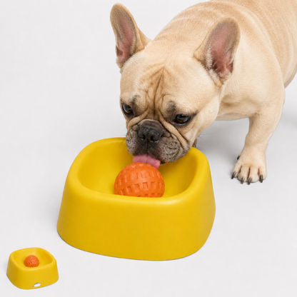 FrenSip-Frenchie-Anti-Gulping-Liquid-Bowl.jpg