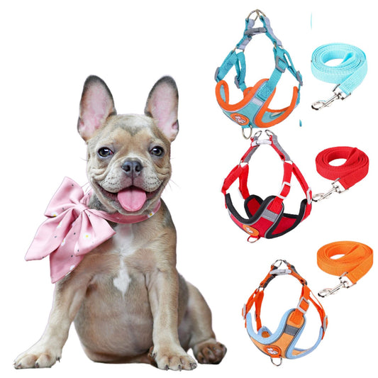 French-Bulldog-Harness-Leash-Set