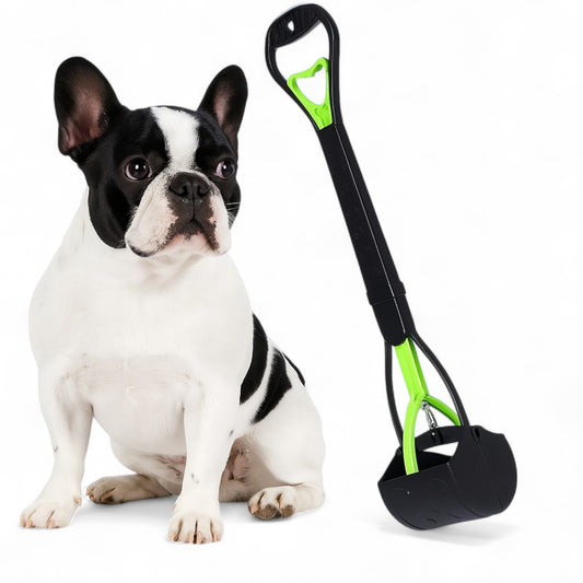 French-Bulldog-Poop-Scooper.jpg