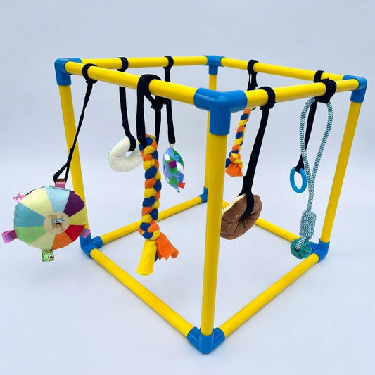  French-Bulldog-Puppy-Play-Gym.jpg