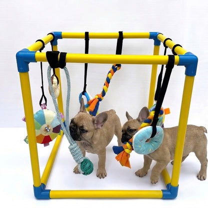  French-Bulldog-Puppy-Play-Gym.jpg