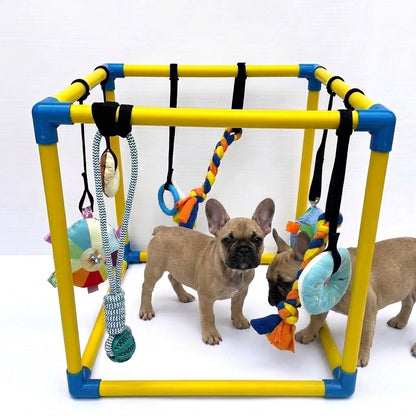  French-Bulldog-Puppy-Play-Gym.jpg