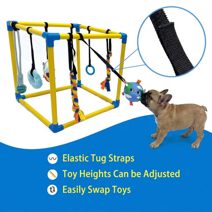  French-Bulldog-Puppy-Play-Gym.jpg