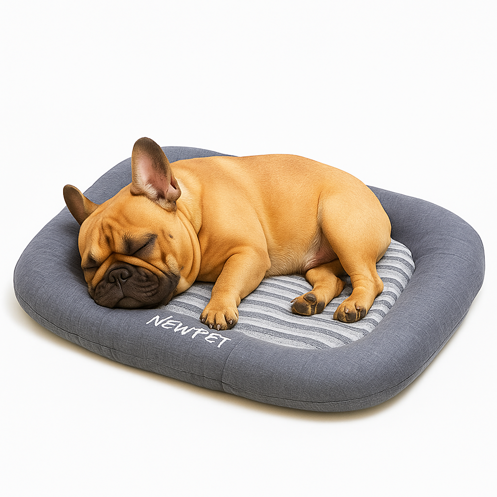Coperta con bulldog francese, 127 x 152 cm, super morbida e Coperta con bulldog francese, 127 x 152 cm, super morbida e