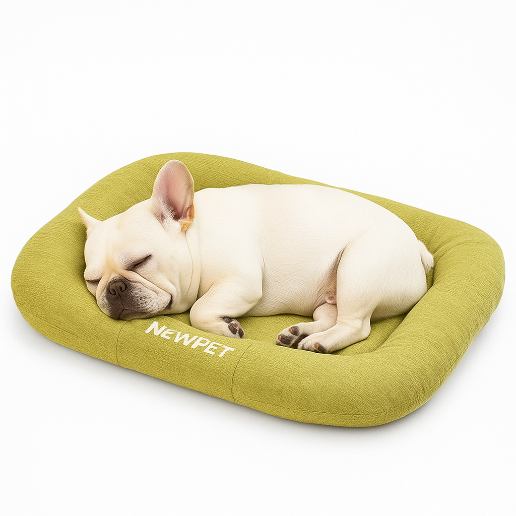 Bulldog francese Coperta Plaid Regalo per Bambini Adulti Bulldog francese Coperta Plaid Regalo per Bambini Adulti