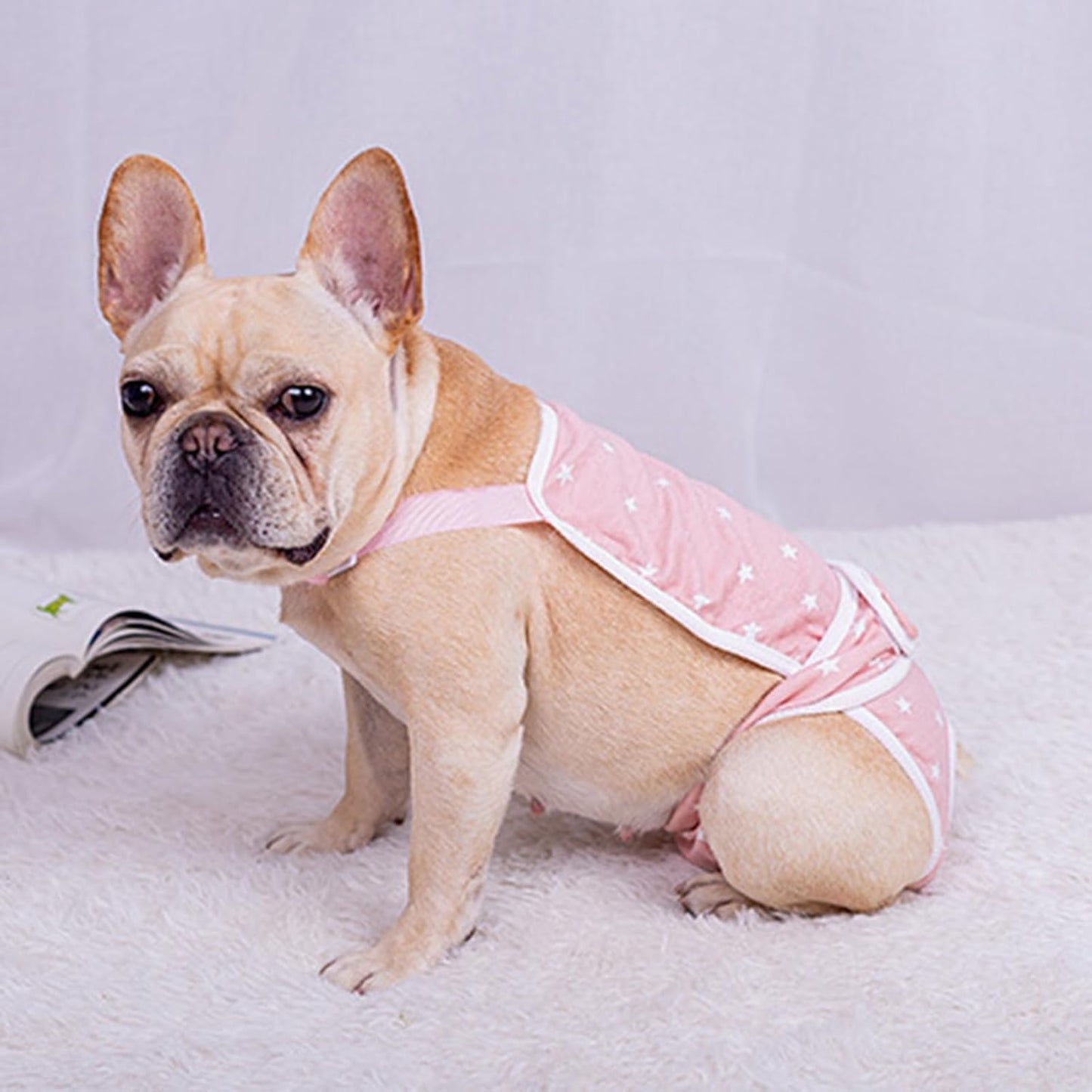French-Bulldog-Shorts-Diaper-Pants