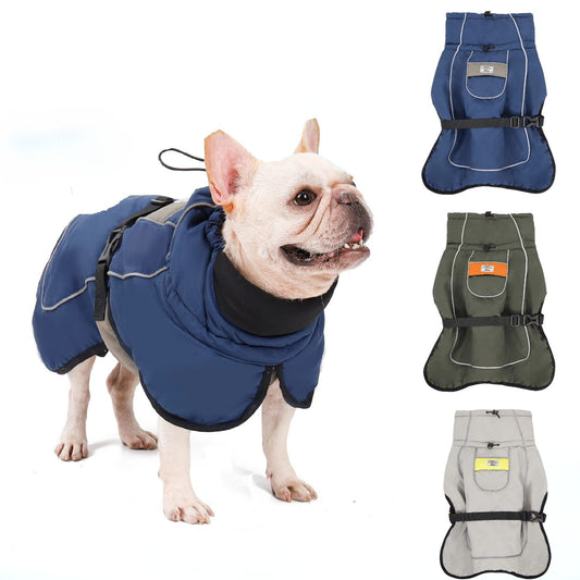 French-Bulldog-Winter-Coat.jpg