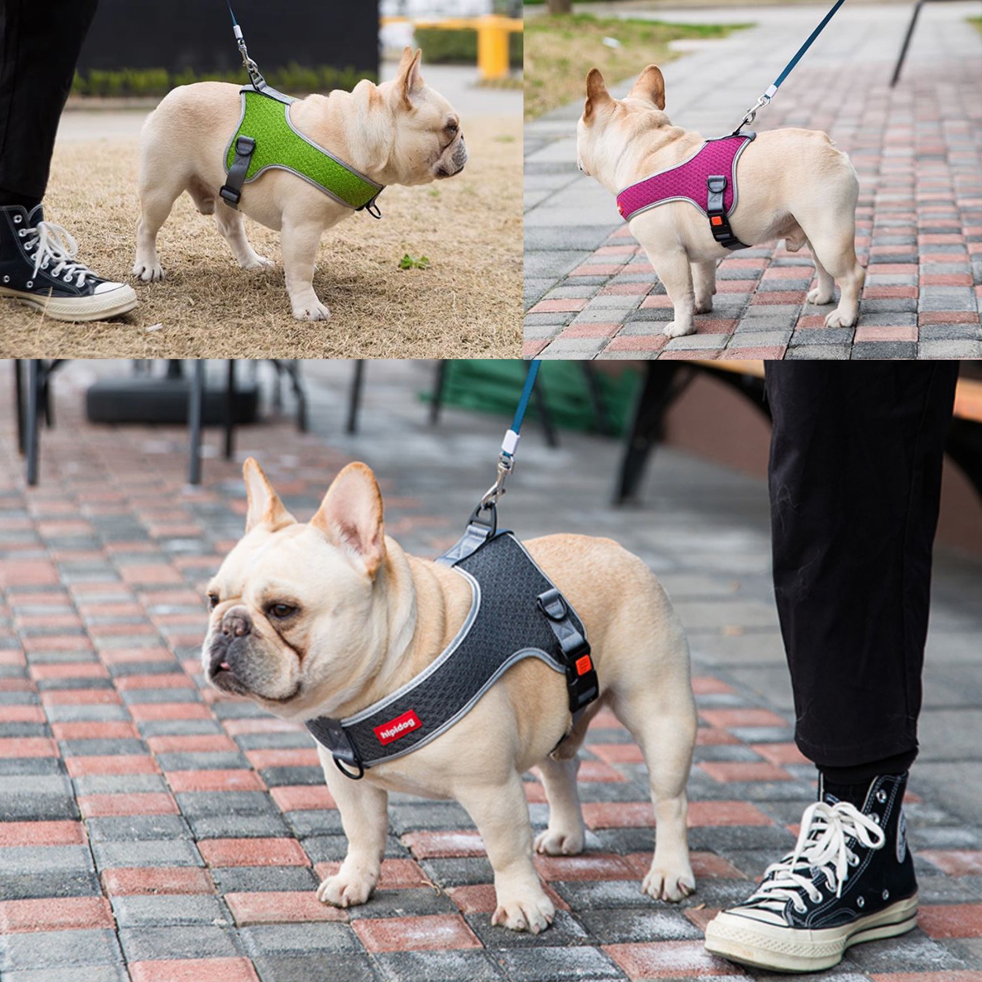 PawsMotion Premium French Bulldog Harness Vest with Leash Ultimate Walking  Companion