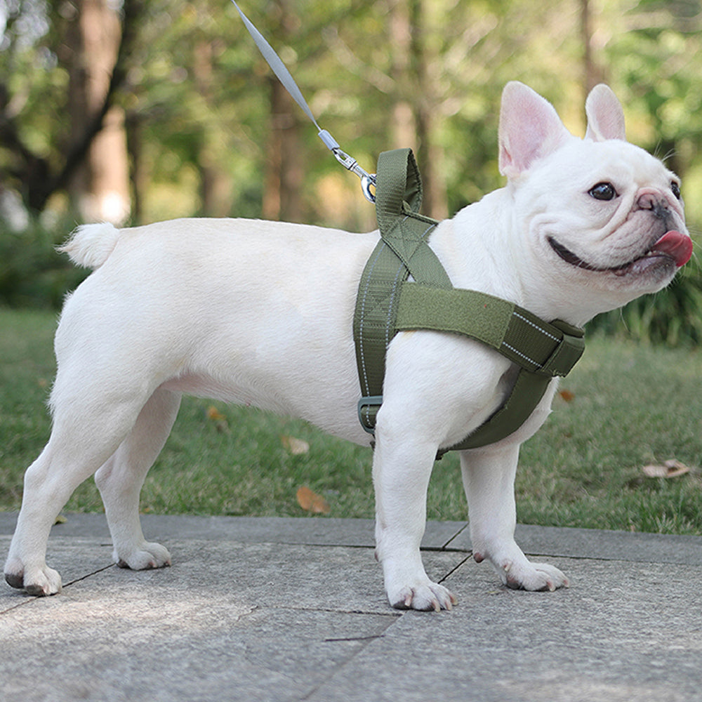 Personalized Vest-style Tactical Chest Harness - French Bulldog Shop