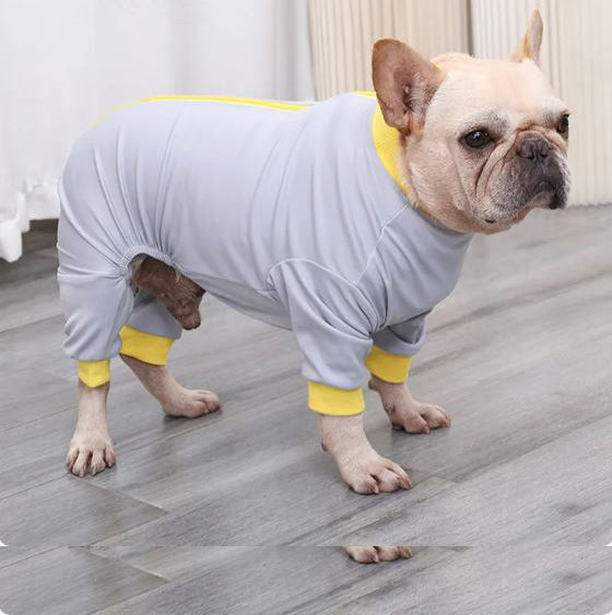 LickGuard-Frenchie-Surgery-Recovery-Suit-Anti-Licking-Wound-Protection-for-French-Bulldogs-www.frenchie.shop