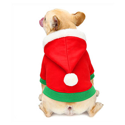 French Bulldog Christmas outfit