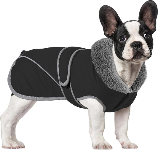 French-Bulldog-Cotton-Jacket-Winter-Waterproof-Dog-Outfit.jpg