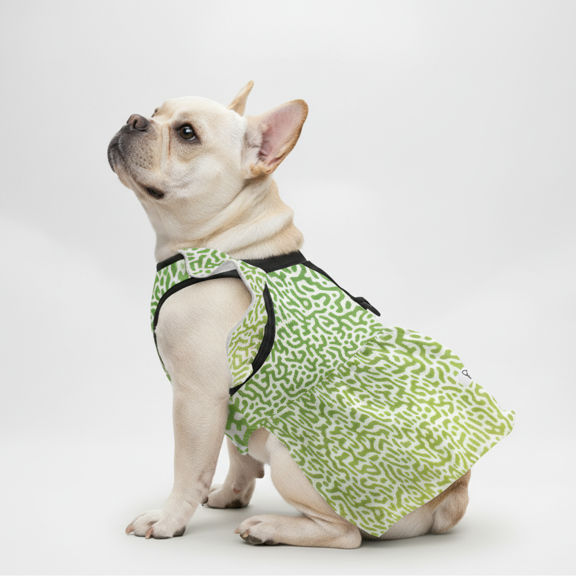 Opal - French Bulldog Dresses for Females