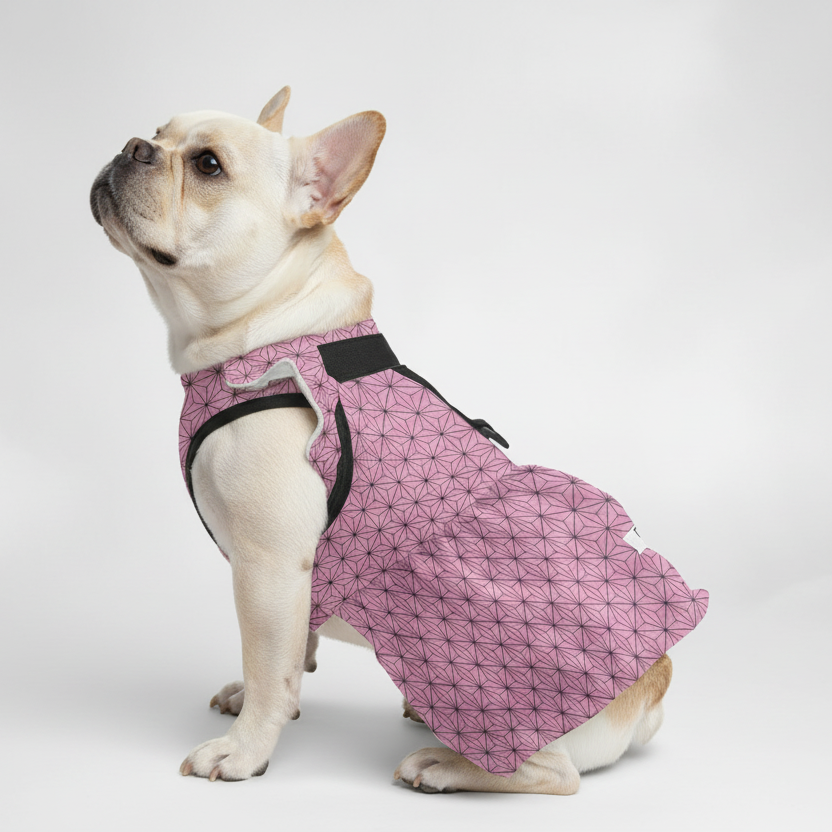 Peach- French Bulldog Dresses for Females