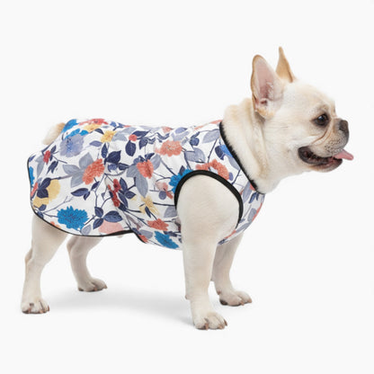 Lucy - French Bulldog Dresses for Females