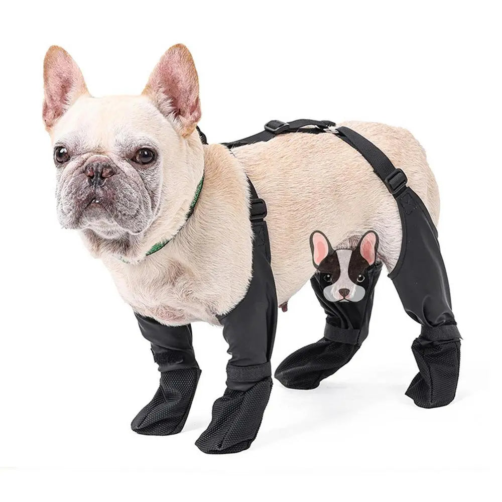 French_Bulldog_Footwear