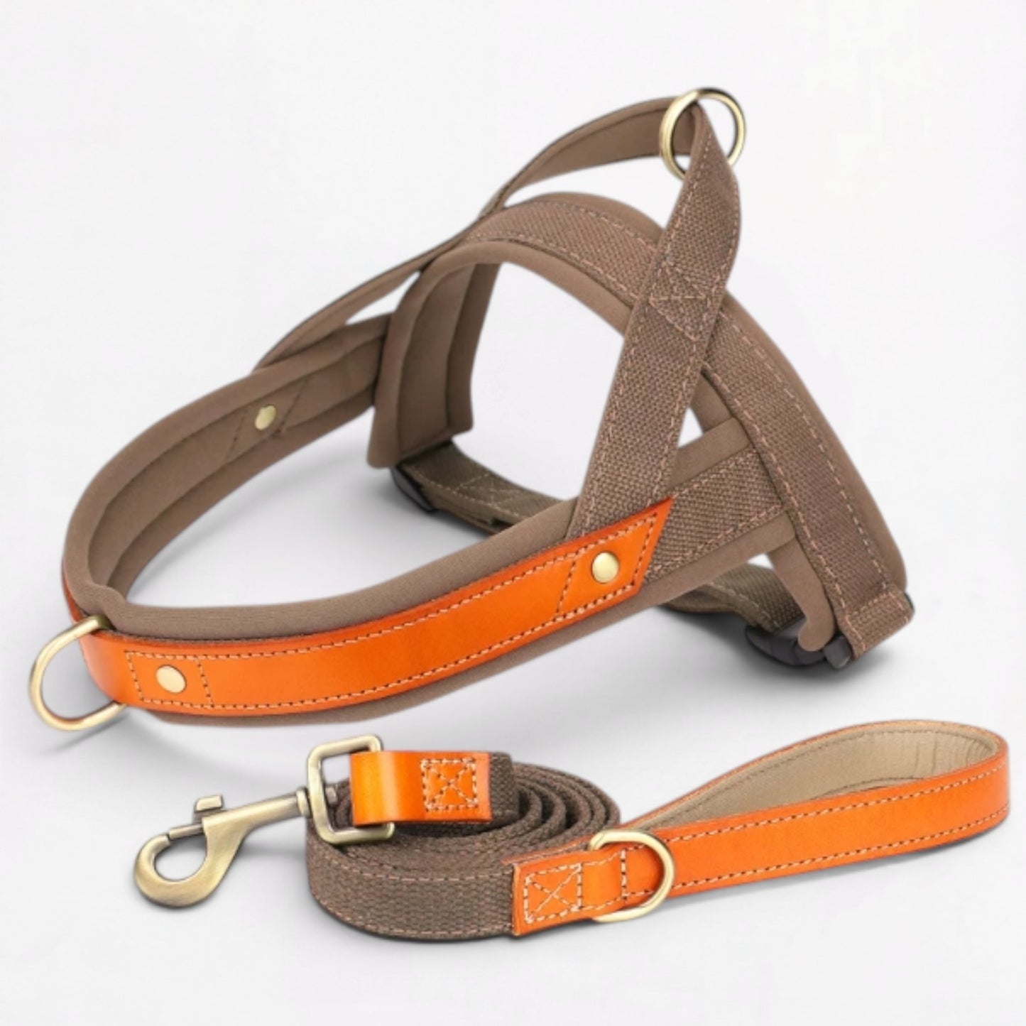 Ensemble harnais et laisse anti-traction pour bouledogue français (WS0223)