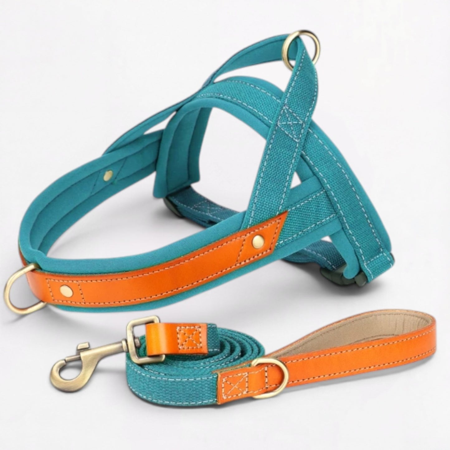 Ensemble harnais et laisse anti-traction pour bouledogue français (WS0223)