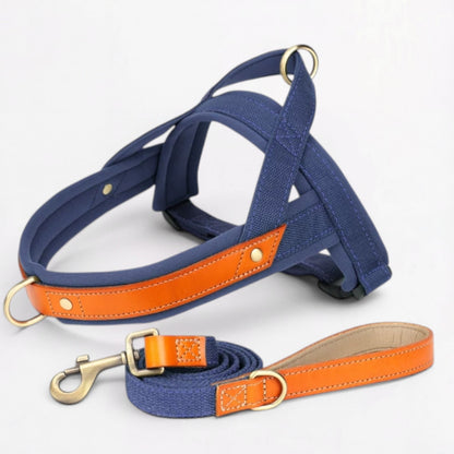 Ensemble harnais et laisse anti-traction pour bouledogue français (WS0223)