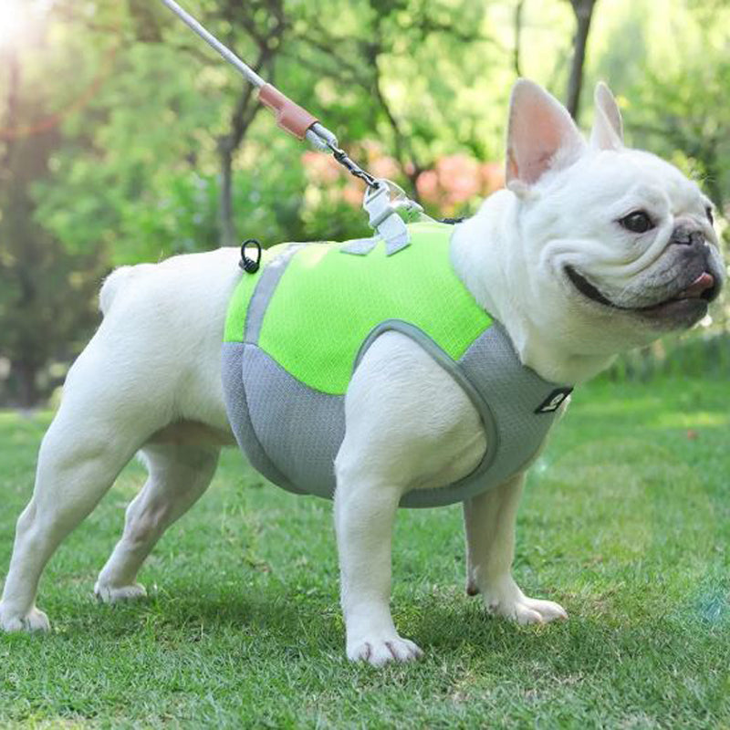 French Bulldog Summer Cooling Vest