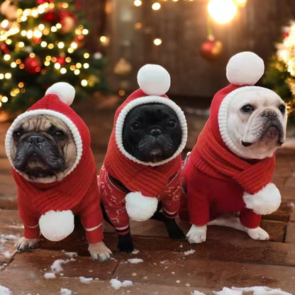 French Bulldog Wool Hat