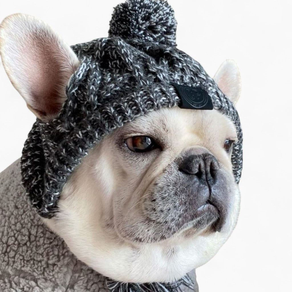 French Bulldog Woolen Winter Cap